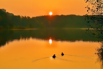 Утро вечера мудренее / Вчерашнее утро