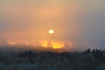 Утро вечера мудренее / Раннее сентябрьское утро... Первые заморозки. И так хотелось снять восход солнца в тумане. Сбылась мечта.