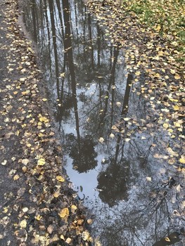 Утро вечера мудренее / После дождя.