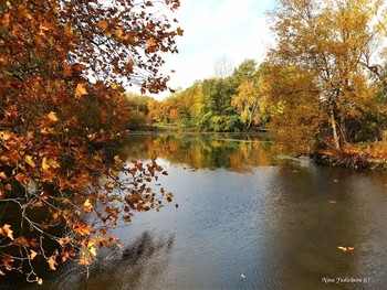 Утро вечера мудренее / Wilhelmsburger Inselpark Hamburg

https://www.youtube.com/watch?v=dNOCQPn2sZA

Dahliengarten Hamburg

https://www.youtube.com/watch?v=YIZZSauDE3w

Rosengarten. Planten un Blomen Hamburg:

https://www.youtube.com/watch?v=tKJmmXxh-1U&amp;t=8s

Слайд-шоу &quot;Парк цветов летом&quot;

https://www.youtube.com/watch?v=glVWjqRqZr0

Слайд-шоу &quot;Парк цветов весной&quot;

https://www.youtube.com/watch?v=kJVKlWcQxCg

Слайд-шоу &quot;Парк цветов осенью&quot;

https://www.youtube.com/watch?v=_Q7gRXGUa5A

Слайд-шоу &quot;Розы&quot;

https://www.youtube.com/watch?v=2jSTxDgGqsI

Слайд-шоу &quot;Цветы&quot;

https://www.youtube.com/watch?v=JYadETNgWMY