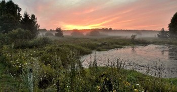 Вечерняя заря / Вечерняя заря с опускающимся туманом