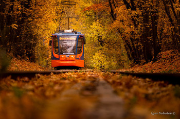 Осенний трамвай / Трамвай в парке Сокольники.