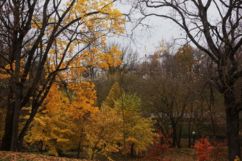 Поздняя осень . / Берег Витьбы в первый день ноября ,Витебск.