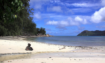 На острове Праслен / Сейшелы. Остров Праслен 
2011 год