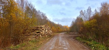 Дорожный этюд / Провинциальные зарисовки