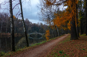 В старом парке / ...