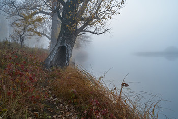 &nbsp; / туман,осень,река