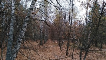 Где-то там / ...