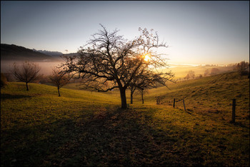 &nbsp; / Herbst