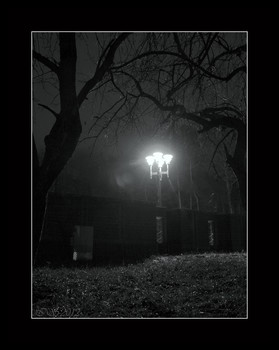 ночь, парк, фонарь / ***