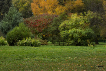 Осенняя палитра / Осень рисует