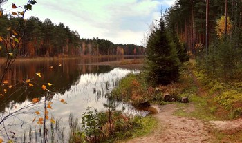 Осенью на лесном озере / Осенью на лесном озере
