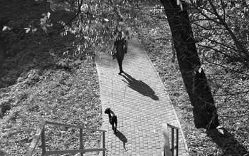 Выгуливает... / ***