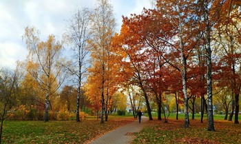 Ноябрьский денек / Начало ноября