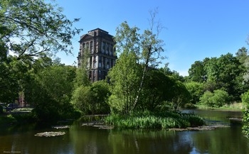 На том берегу Сердобольского пруда в ЛесоПилке / Санкт-Петербург, Выборгская сторона, Питер