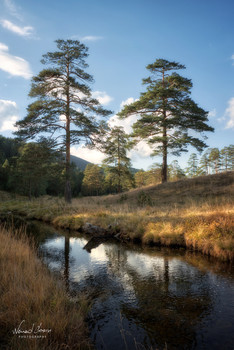 &nbsp; / Beautiful nature on Zlatibor mountain in Serbia. Shot with Nikon D5600 and 18-105mm lens.