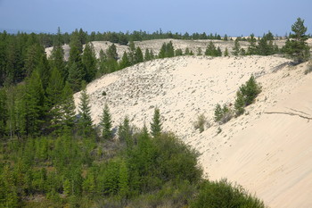 &nbsp; / Сибирские пески. Чара, Забайкальский край.