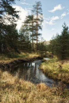 &nbsp; / Creek on Zlatibor mountain. Shot with Nikon D5600 and 18-105mm lens. Edited with Luminar4.
