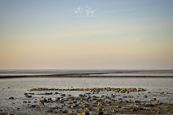 &nbsp; / Landgewinnung an der Nordsee