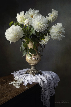 Натюрморт с белыми георгинами / классический цветочный натюрморт