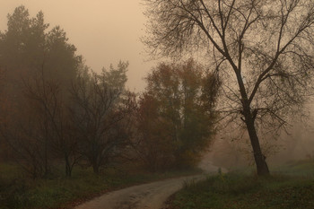 За осенним туманом / утро,туман,осень