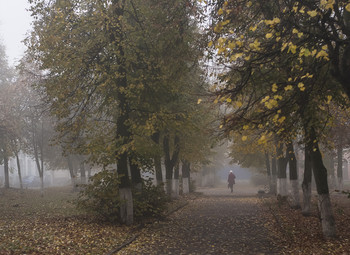 Утро в Октябре # / Foggy Morning...