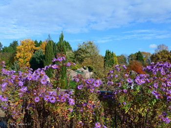 Loki Schmidt Garten Hamburg / Loki Schmidt Garten Hamburg. Herbst 2020

https://www.youtube.com/watch?v=IMdWgQNK_Ts

Loki Schmidt Garten Hamburg. Herbst:

https://www.youtube.com/watch?v=7FteDQbgcSo

Rosengarten. Planten un Blomen Hamburg:

https://www.youtube.com/watch?v=tKJmmXxh-1U&amp;t=8s

Слайд-шоу &quot;Парк цветов летом&quot;

https://www.youtube.com/watch?v=glVWjqRqZr0

Слайд-шоу &quot;Парк цветов весной&quot;

https://www.youtube.com/watch?v=kJVKlWcQxCg

Слайд-шоу &quot;Парк цветов осенью&quot;

https://www.youtube.com/watch?v=_Q7gRXGUa5A

Слайд-шоу &quot;Розы&quot;

https://www.youtube.com/watch?v=2jSTxDgGqsI

Слайд-шоу &quot;Цветы&quot;

https://www.youtube.com/watch?v=JYadETNgWMY

Stadtpark Hamburg:

https://www.youtube.com/watch?v=FKUA4kQdSRU&amp;list=PLVht4TW8GcgOArWo10z1fZHSIj_pXqy9m&amp;index=20

Wilhelmsburger Inselpark Hamburg

https://www.youtube.com/watch?v=dNOCQPn2sZA

Dahliengarten Hamburg

https://www.youtube.com/watch?v=YIZZSauDE3w

Rosengarten. Planten un Blomen Hamburg:

https://www.youtube.com/watch?v=tKJmmXxh-1U&amp;t=8s