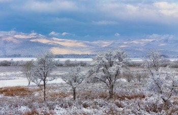 серебряное утро / И выпал первый снег...........Приморский край