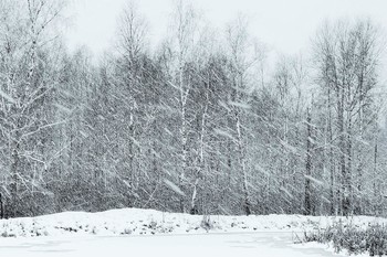 &quot;Что такое метель? Танец ветра и снега...&quot; / &quot;Что такое метель?
 Танец ветра и снега.
 Как не любим попасть
 Мы в такой переплет.
 И нам кажется день
 Незаметным и редким.
 Ведь на улице страсть
 Совершает обход ...&quot;
 В.Еремеева