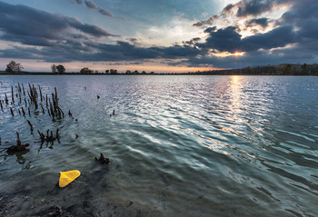 Желтый лист осенний / ***