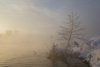 Озеро зимних снов / Россия. Тула. Косая Гора. Озеро Горячка.