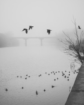 Одним ноябрьским утром... / Foggy Morning///