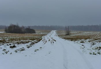 &quot;Какие сумерки холодные, какие серые, печальные...&quot; / &quot;Какие сумерки холодные ...
 Какие серые, печальные,
 Как будто осень отдает
 Зиме напутствие прощальное ...&quot;