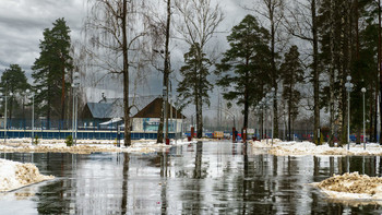 снег тает / Парк,пасмурное утро