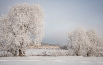 Первый иней / https://imgur.com/a/fPCB27Y