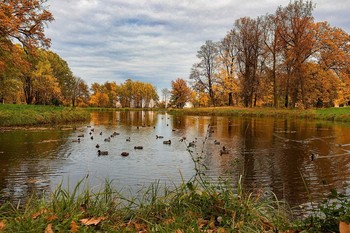 В осенних красках / ***