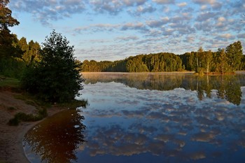 Тихим утром........... / Петербург. Осиновая Роща.Август