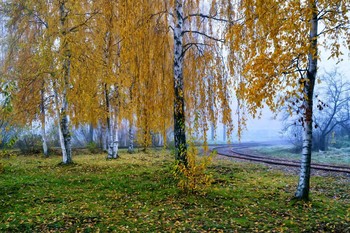 Осенний туман. / ***