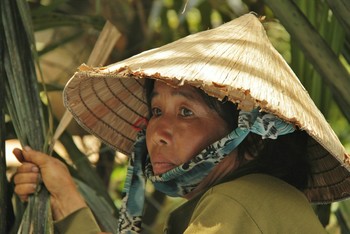 портрет вьетнамской женщины / ***