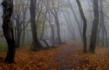 В осеннем парке... / Железноводск. Октябрь