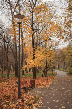 В осеннем парке... / ***