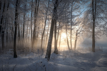 Мороз в перелеске / Дыхание клубилось паровозным паром, деревья потрескивали, с Пехорки наползал туман, медленно просачиваясь между деревьями.