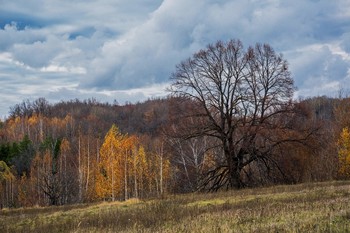 &nbsp; / окрестности п.Веденская слобода,Татарстан