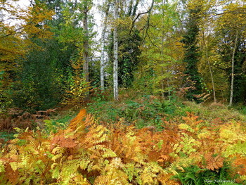 Loki Schmidt Garten Hamburg / Loki Schmidt Garten Hamburg. Herbst 2020

https://www.youtube.com/watch?v=IMdWgQNK_Ts

Loki Schmidt Garten Hamburg. Herbst:

https://www.youtube.com/watch?v=7FteDQbgcSo

Rosengarten. Planten un Blomen Hamburg:

https://www.youtube.com/watch?v=tKJmmXxh-1U&amp;t=8s

Слайд-шоу &quot;Парк цветов летом&quot;

https://www.youtube.com/watch?v=glVWjqRqZr0

Слайд-шоу &quot;Парк цветов весной&quot;

https://www.youtube.com/watch?v=kJVKlWcQxCg

Слайд-шоу &quot;Парк цветов осенью&quot;

https://www.youtube.com/watch?v=_Q7gRXGUa5A

Слайд-шоу &quot;Розы&quot;

https://www.youtube.com/watch?v=2jSTxDgGqsI

Слайд-шоу &quot;Цветы&quot;

https://www.youtube.com/watch?v=JYadETNgWMY

Stadtpark Hamburg:

https://www.youtube.com/watch?v=FKUA4kQdSRU&amp;list=PLVht4TW8GcgOArWo10z1fZHSIj_pXqy9m&amp;index=20

Wilhelmsburger Inselpark Hamburg

https://www.youtube.com/watch?v=dNOCQPn2sZA

Dahliengarten Hamburg

https://www.youtube.com/watch?v=YIZZSauDE3w

Rosengarten. Planten un Blomen Hamburg:

https://www.youtube.com/watch?v=tKJmmXxh-1U&amp;t=8s