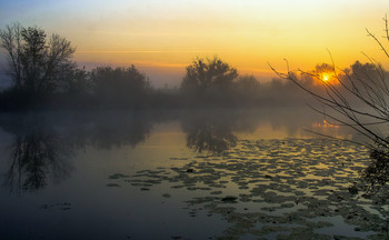 Туманная осень. / Озеро Студёное на юго-востоке Московской области.