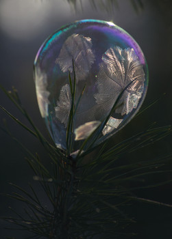 Невечные моменты / Замерзающий мыльный пузырь