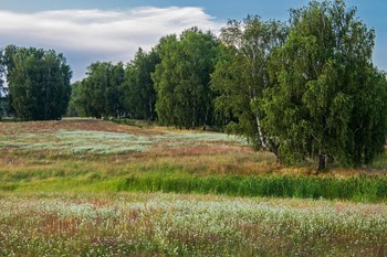 &nbsp; / п. Новочувашский,Татарстан