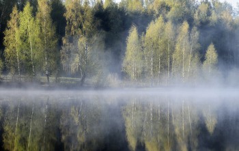 Утро туманное.................. / Петербург-Юкки. Август