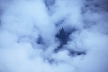 In the Fog-2 / Mt.Juneau Wilderness, ALASKA.