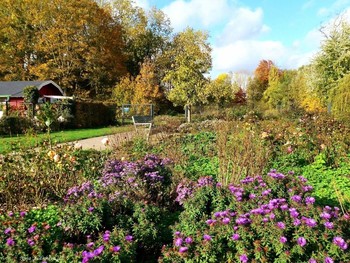 Wilhelmsburger Inselpark Hamburg / Wilhelmsburger Inselpark Hamburg

https://www.youtube.com/watch?v=dNOCQPn2sZA

Dahliengarten Hamburg

https://www.youtube.com/watch?v=YIZZSauDE3w

Rosengarten. Planten un Blomen Hamburg:

https://www.youtube.com/watch?v=tKJmmXxh-1U&amp;t=8s

Слайд-шоу &quot;Парк цветов летом&quot;

https://www.youtube.com/watch?v=glVWjqRqZr0

Слайд-шоу &quot;Парк цветов весной&quot;

https://www.youtube.com/watch?v=kJVKlWcQxCg

Слайд-шоу &quot;Парк цветов осенью&quot;

https://www.youtube.com/watch?v=_Q7gRXGUa5A

Слайд-шоу &quot;Розы&quot;

https://www.youtube.com/watch?v=2jSTxDgGqsI

Слайд-шоу &quot;Цветы&quot;

https://www.youtube.com/watch?v=JYadETNgWMY